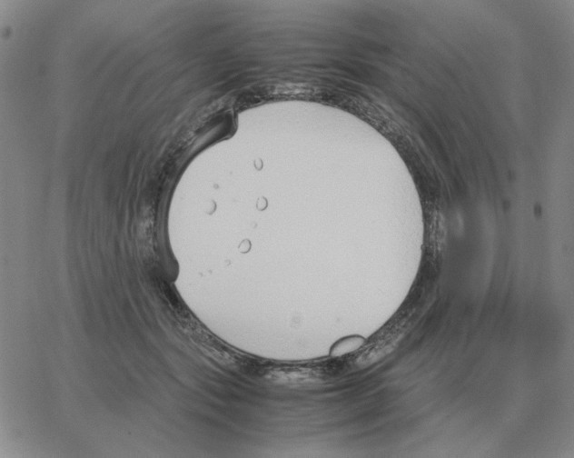 X0000064770557200603131436