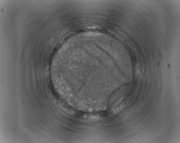 X0000064770559200603131436