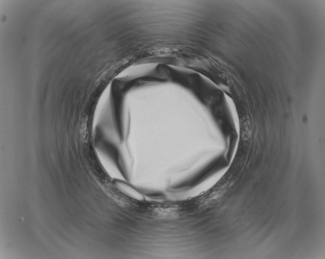 X0000064770560200603131436