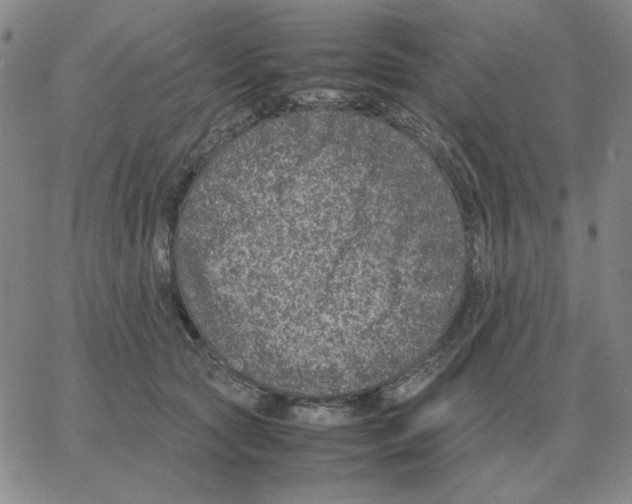 X0000064770561200603131436