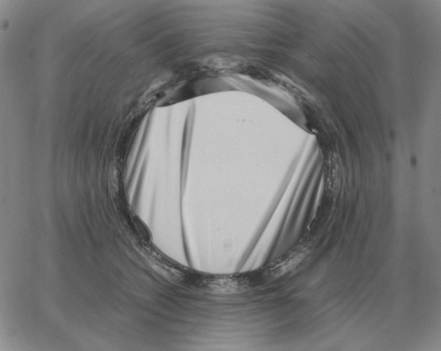 X0000064770562200603131436