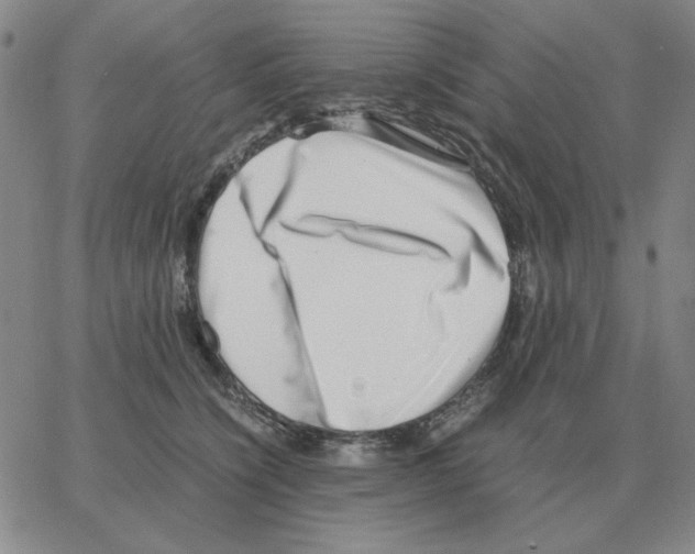 X0000064770564200603131436