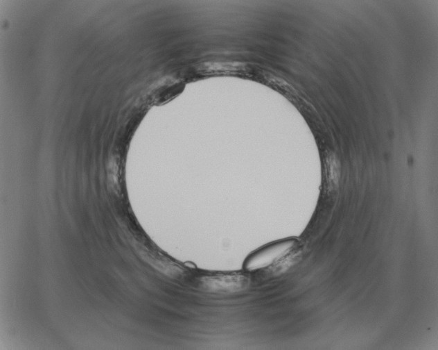 X0000064770567200603131437