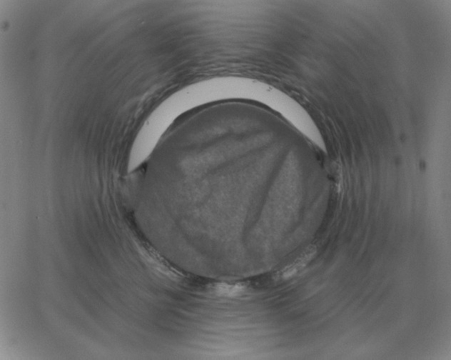 X0000064770570200603131437