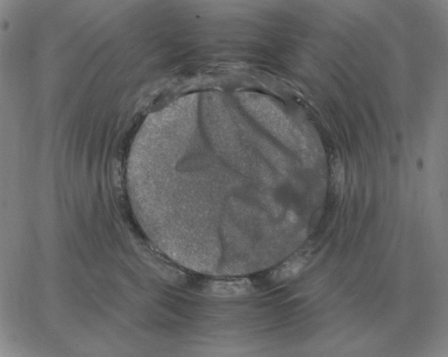 X0000064770571200603131437