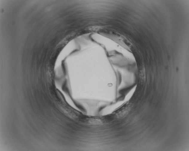 X0000064770572200603131437