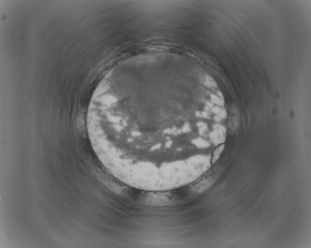 X0000064770573200603131437