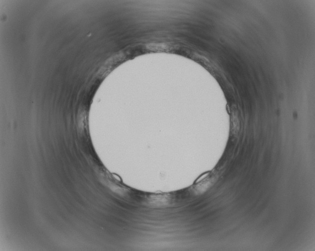 X0000064770574200603131437