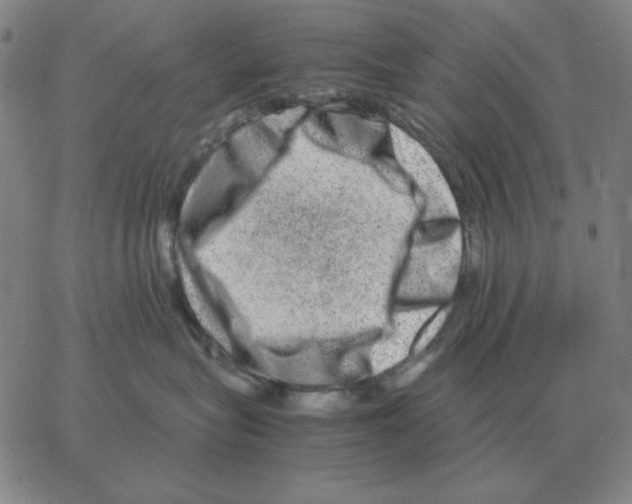 X0000064770575200603131437