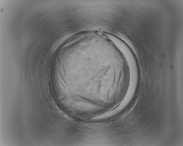 X0000064770577200603131436