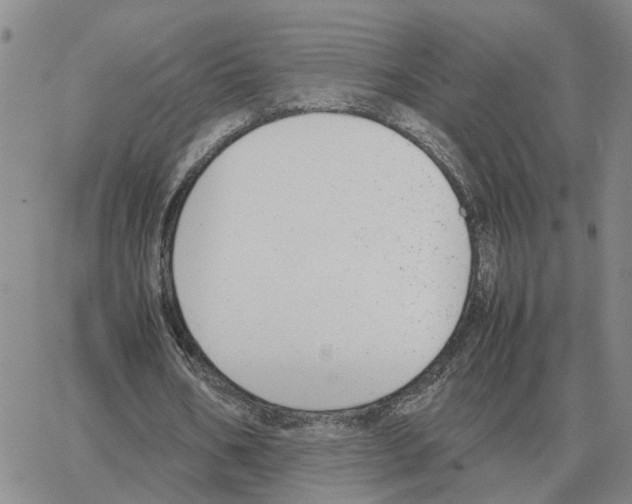 X0000064770578200603131436