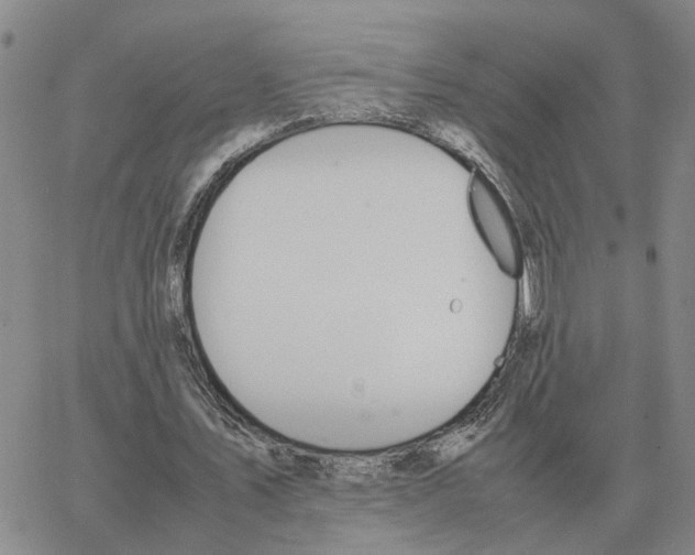 X0000064770579200603131436