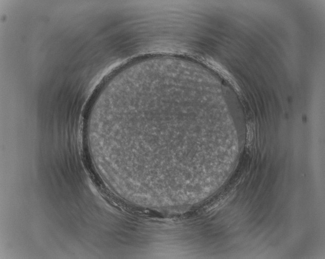 X0000064770580200603131436