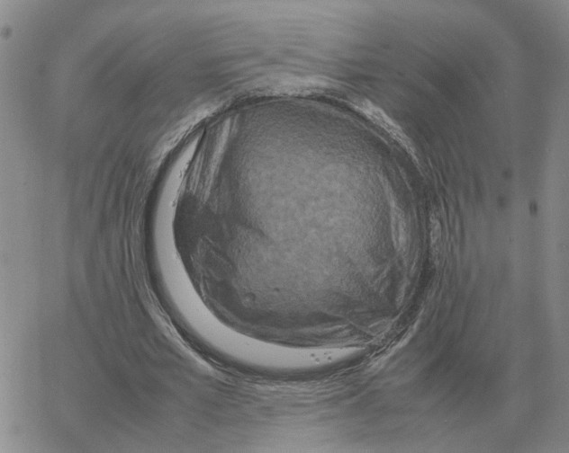 X0000064770581200603131436