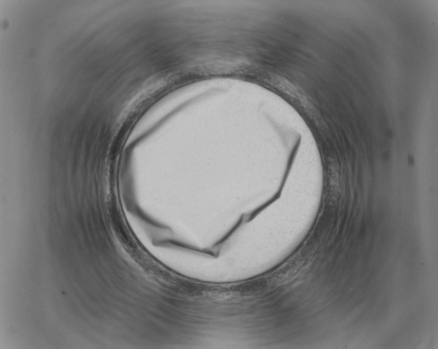 X0000064770582200603131436