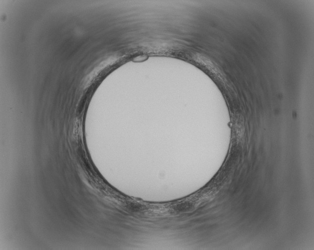 X0000064770583200603131436