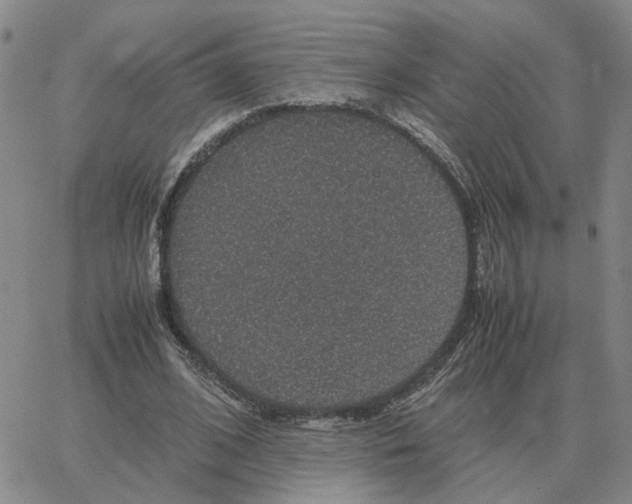 X0000064770584200603131436