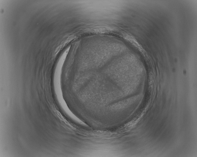 X0000064770585200603131436