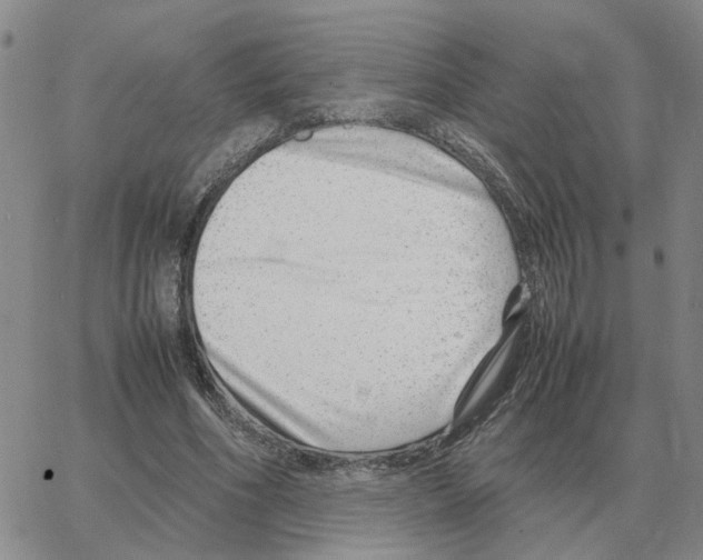 X0000064770586200603131436