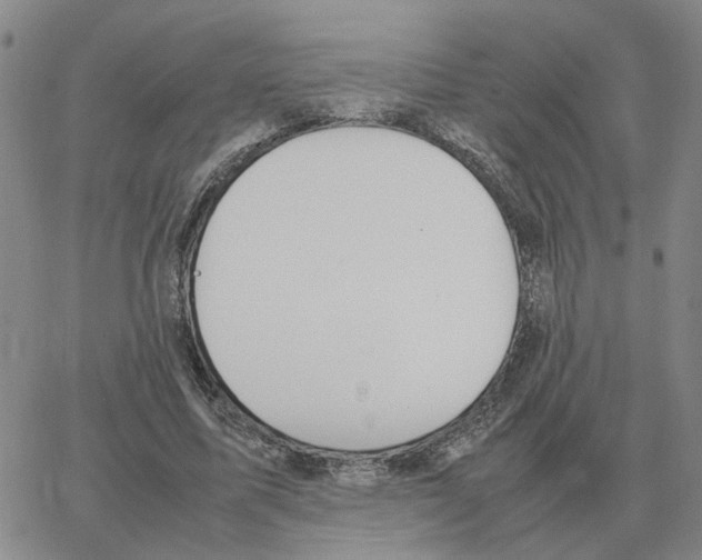 X0000064770587200603131436