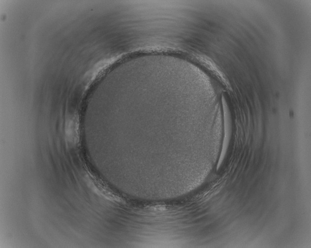 X0000064770588200603131436