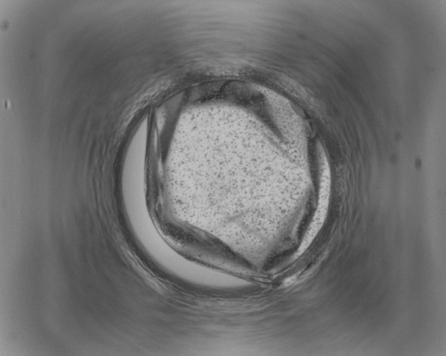 X0000064770589200603131436