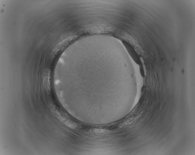 X0000064770590200603131436