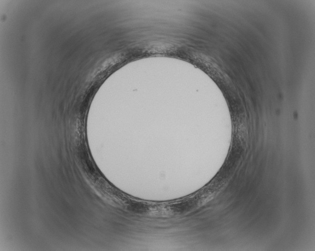 X0000064770591200603131436