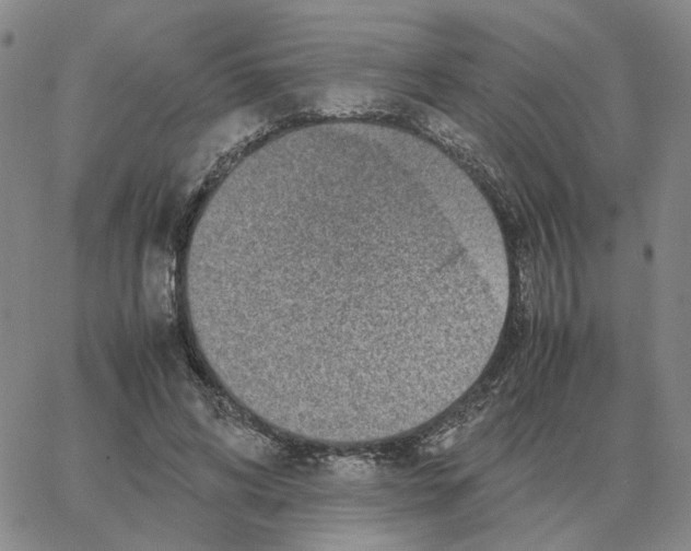 X0000064770592200603131436