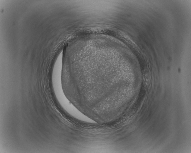 X0000064770593200603131436