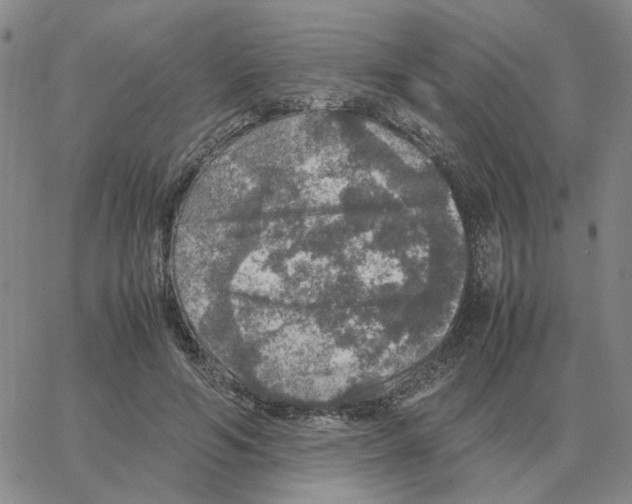 X0000064770594200603131436