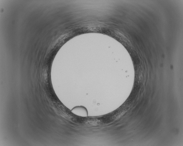 X0000064770595200603131436