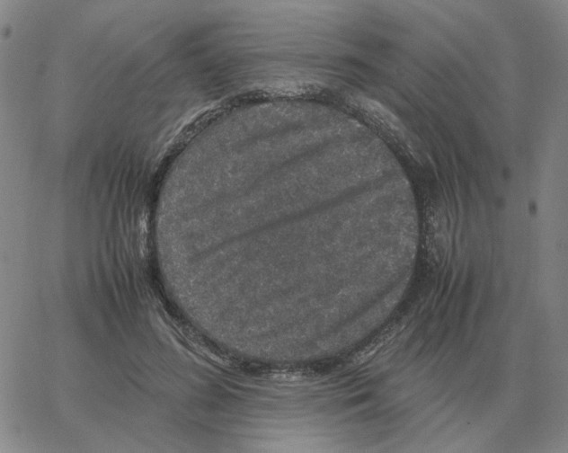 X0000064770596200603131436