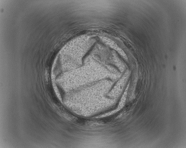 X0000064770597200603131436