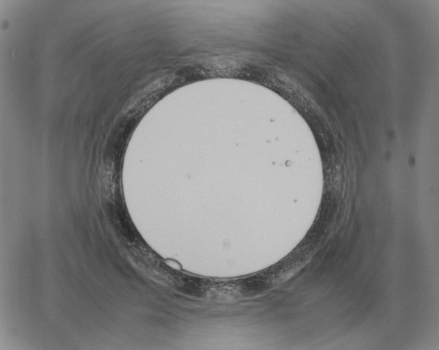 X0000064770599200603131436