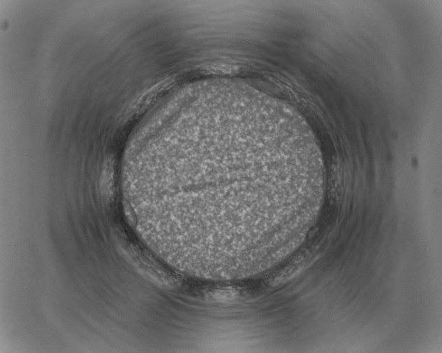 X0000064770600200603131436