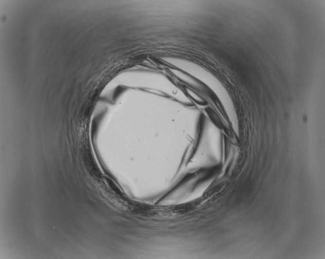 X0000064770601200603131435