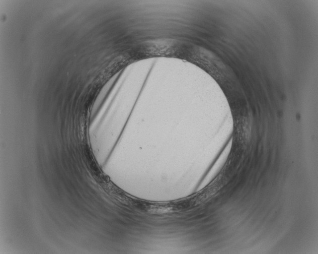 X0000064770602200603131435