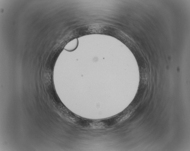 X0000064770603200603131435