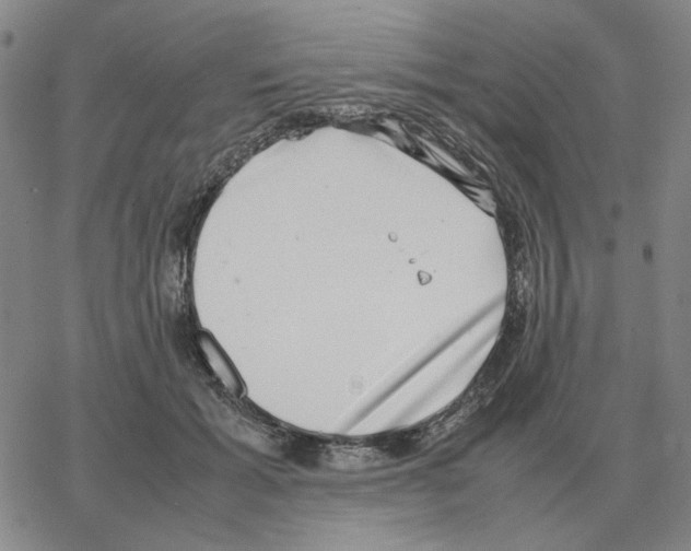 X0000064770605200603131435