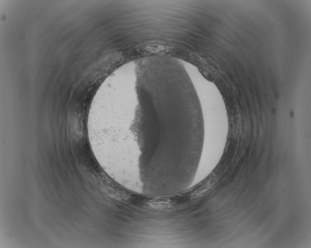 X0000064770606200603131435