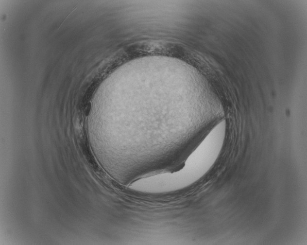 X0000064770607200603131435