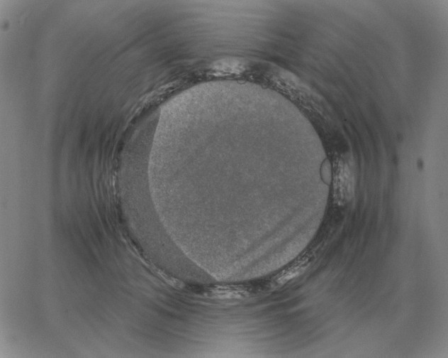 X0000064770608200603131435