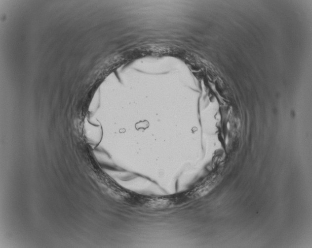 X0000064770609200603131435