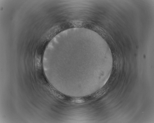 X0000064770610200603131435