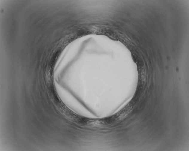 X0000064770611200603131435