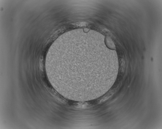 X0000064770612200603131435