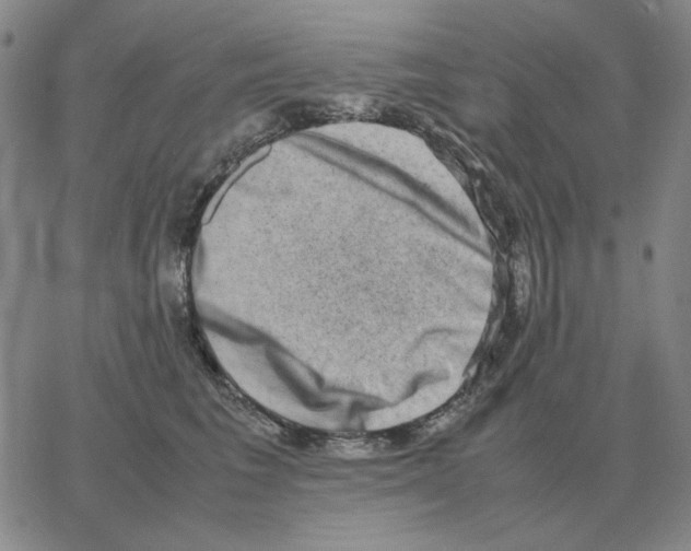 X0000064770613200603131435