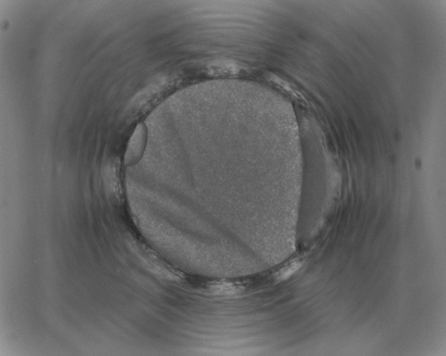 X0000064770616200603131435