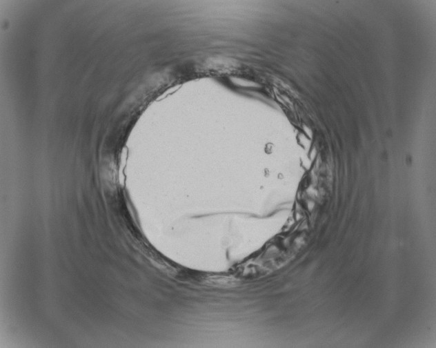 X0000064770617200603131435